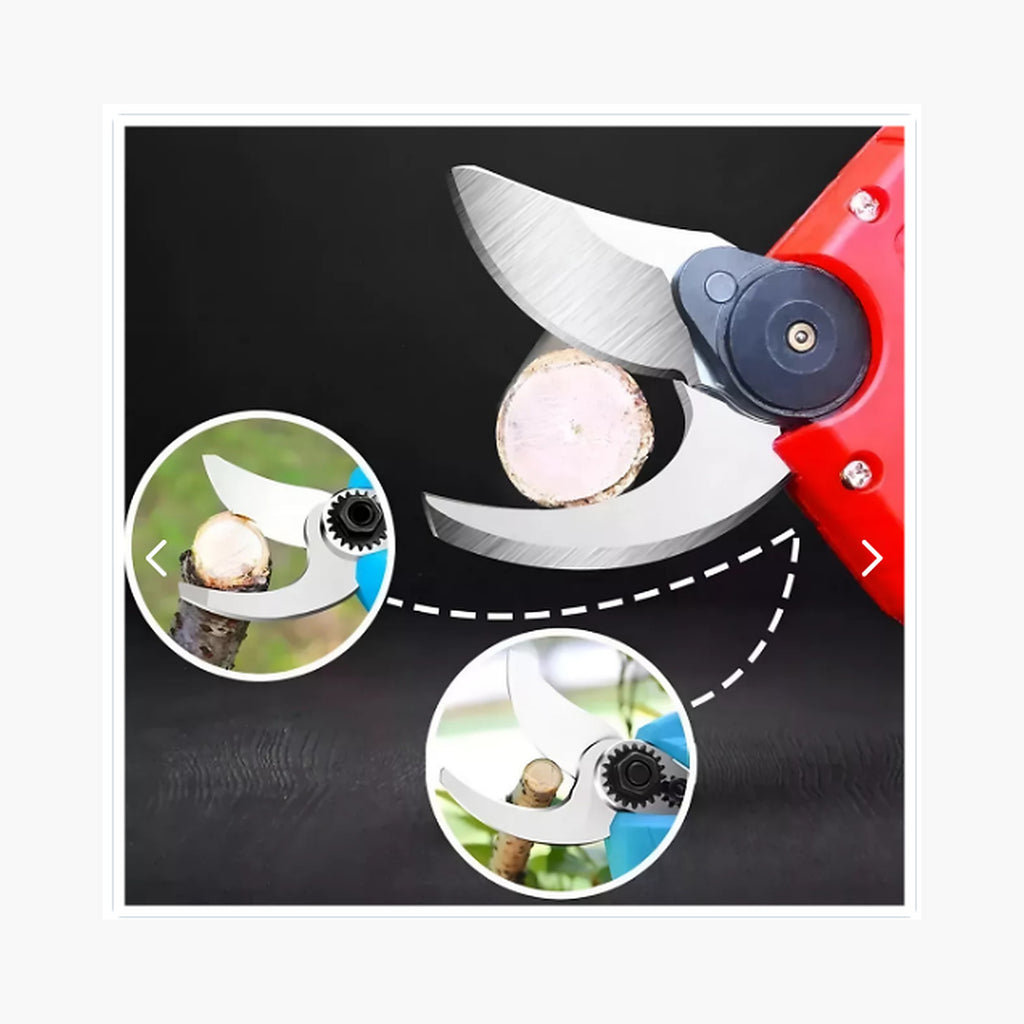 Kit Poda TASBEL: Tijera + Mini Motosierra + Extensión — poda en uso