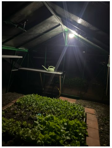 Foto de reseña